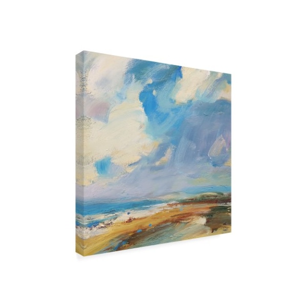 Andrew Kinmon 'Ochre Sand West Coast' Canvas Art,35x35